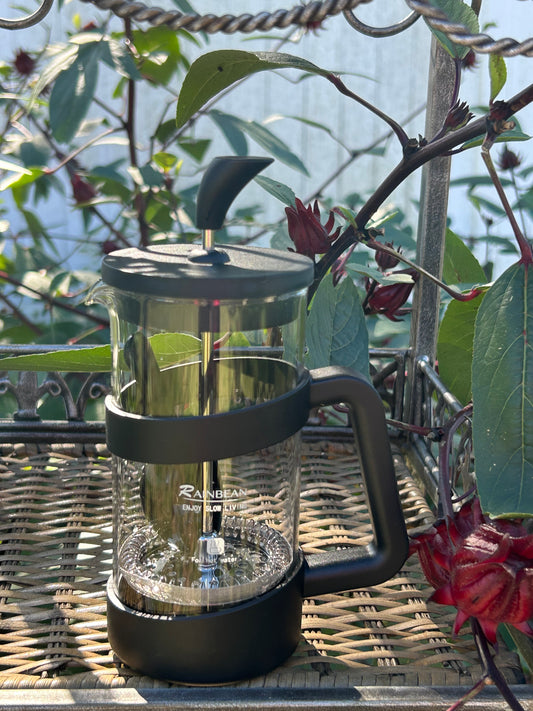 Mini French Press-12oz. Perfect for single cup use.
